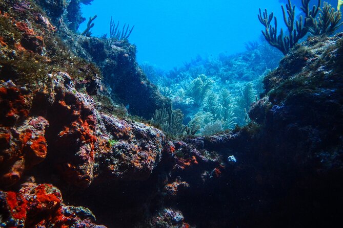 Scuba Diver Certification Course - The instructors and the small-group advantage