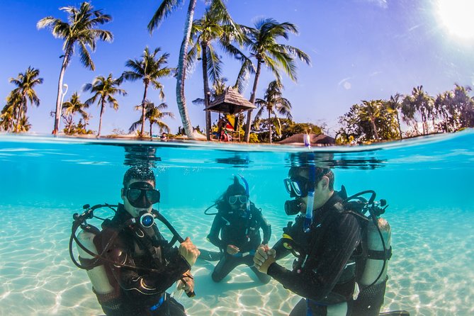 Scuba Diver Course (PADI) - Meeting Scotty’s at Shangri-La Mactan