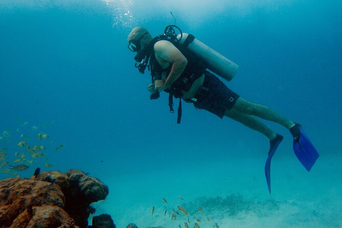 Scuba Diving (1st time) in Cancun Beginner's WELCOMED! - Why this Cancun scuba outing works for beginners