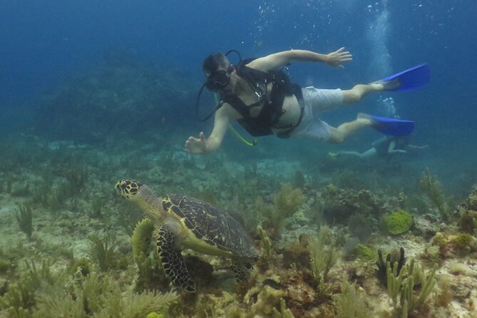 Scuba Diving (1st time) in Cancun Beginner's WELCOMED! - MUSA: Cancun’s underwater art museum