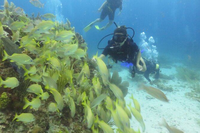 Scuba Diving (1st time) in Cancun Beginner's WELCOMED! - What the extra $100 can mean