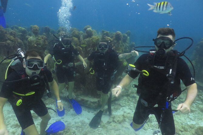Scuba Diving (1st time) in Cancun Beginner's WELCOMED! - Who should book this activity?