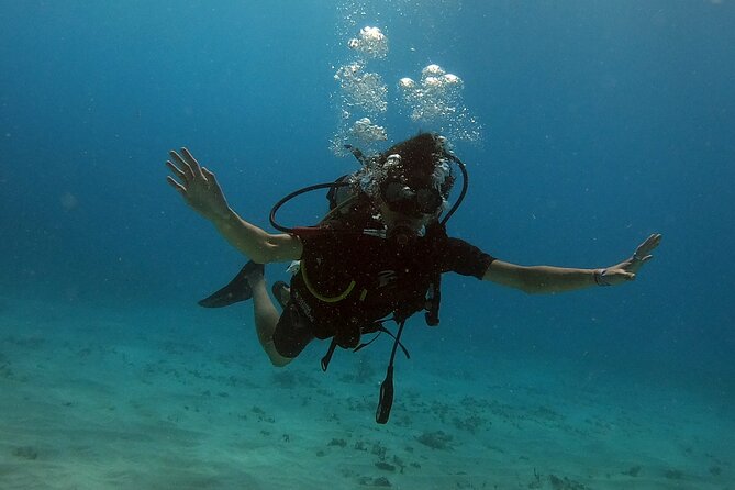Scuba Diving (1st time) in Cancun Beginner's WELCOMED! - Meeting at Aquafun Marina at 10:00 am