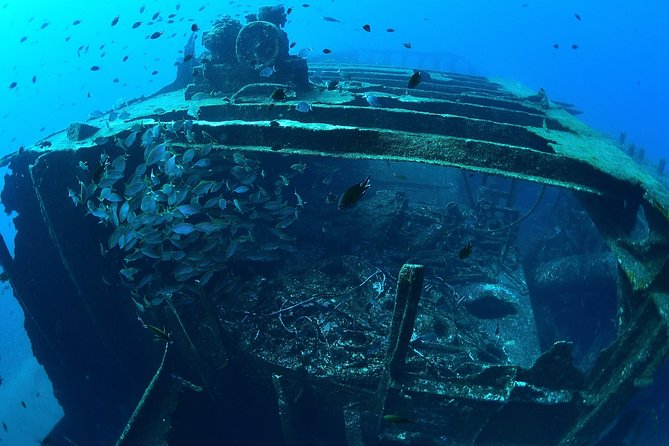 Scuba Diving - Meeting at Hotel Tesoro at 7:30 a.m.