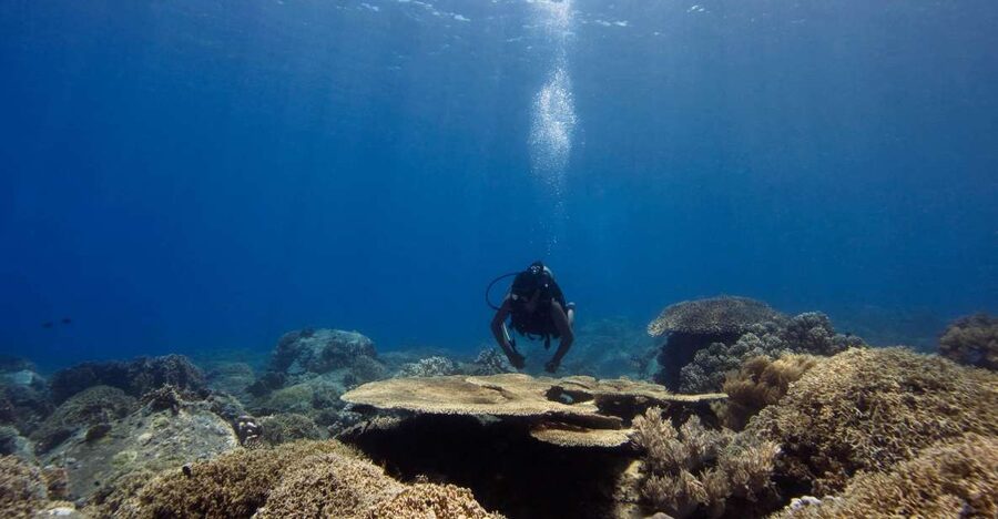 Scuba Diving 3 Islands Nha Trang Tour - Key points before you book