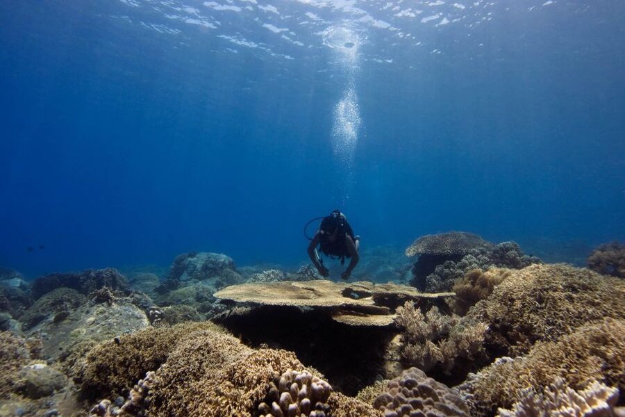 Scuba Diving 3 Islands Nha Trang Tour - Leaving Nha Trang for the bay