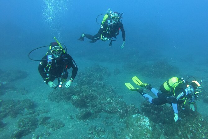 Scuba Diving - Santa Maria and Chileno in the Corridor