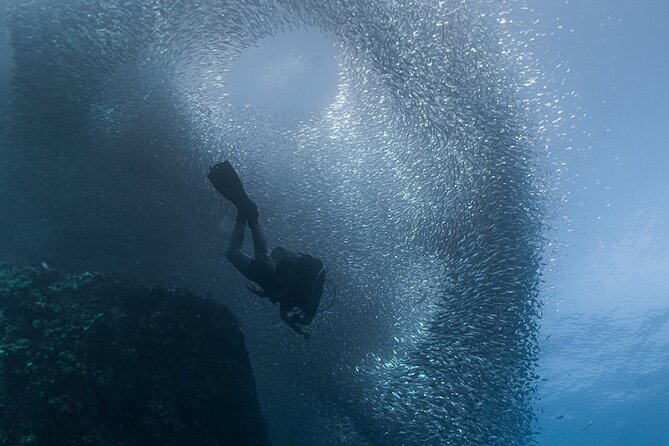 Scuba Diving - A Clear Cancellation Policy, With Weather Limits