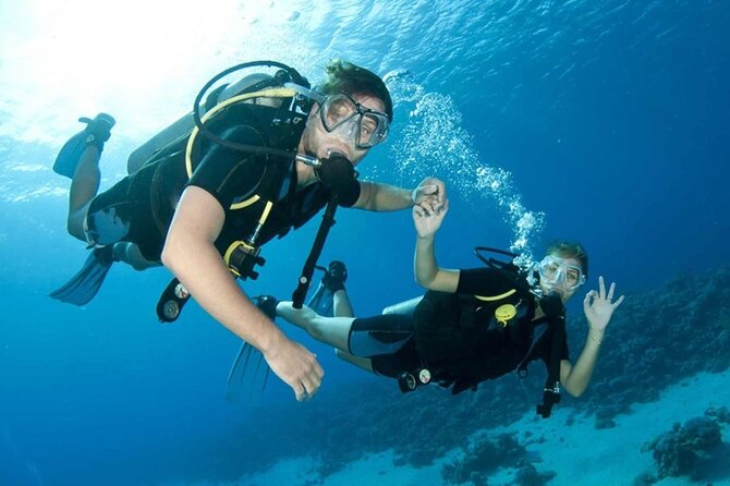 Scuba Diving Activity in Dubai with Hotel Pickup - What the Two-Hour Schedule Looks Like