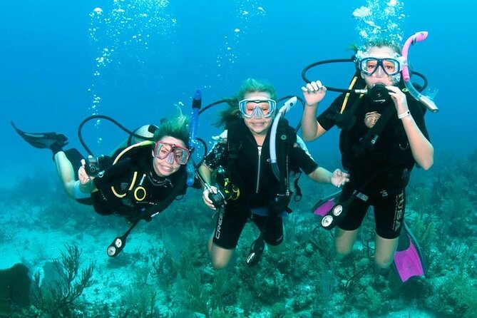 Scuba Diving Activity in Dubai with Hotel Pickup - The Jumeirah Beach Water Session
