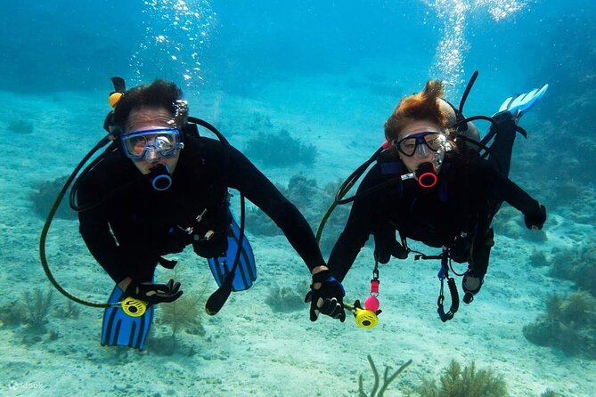 Scuba Diving Activity in Dubai with Hotel Pickup - How the Experience Compares With a Full Scuba Course