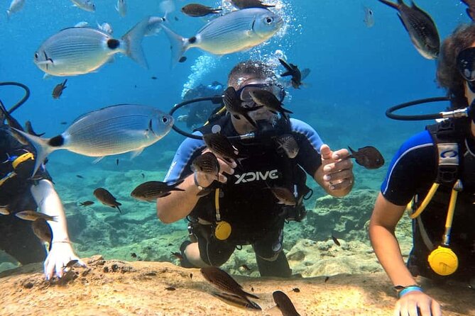 Scuba Diving Adventure at Green Bay Beach - Why Green Bay works well for a first underwater session