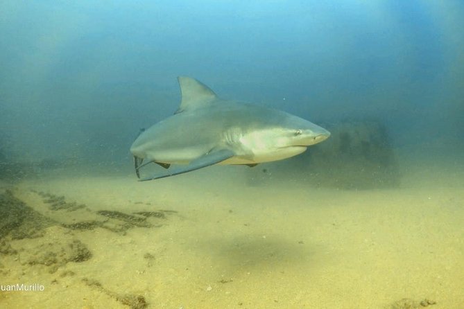 Scuba Diving adventure Cabo pulmo - What the five-hour schedule looks like