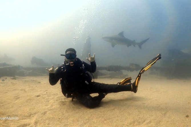Scuba Diving adventure Cabo pulmo - Support for divers returning after a break