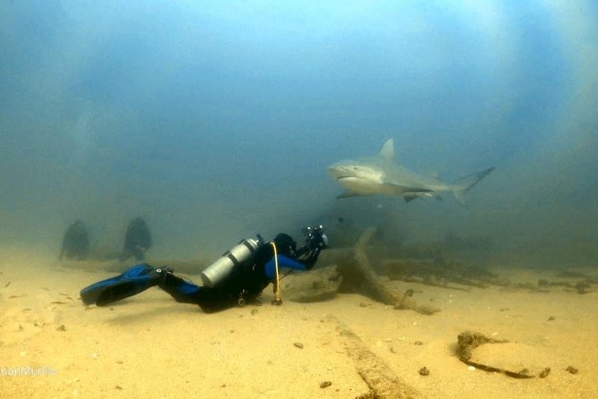 Scuba Diving adventure Cabo pulmo - Group size, guide attention, and the private option