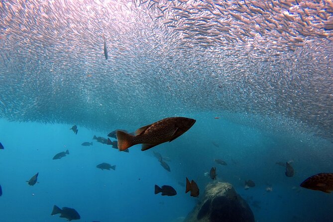 Scuba Diving Adventure in La Paz - What the equipment and safety support mean for you