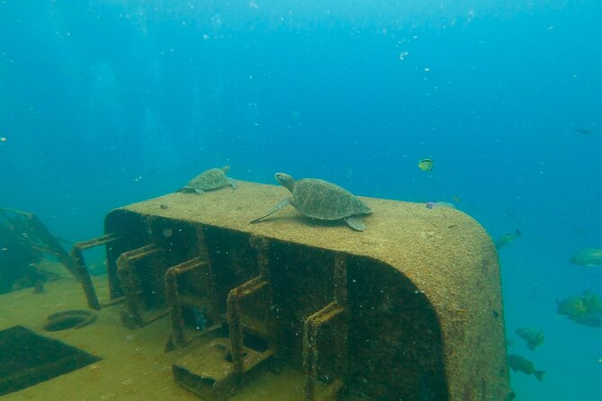 Scuba Diving Adventure in La Paz - Choosing two sites around Isla Espiritu Santo