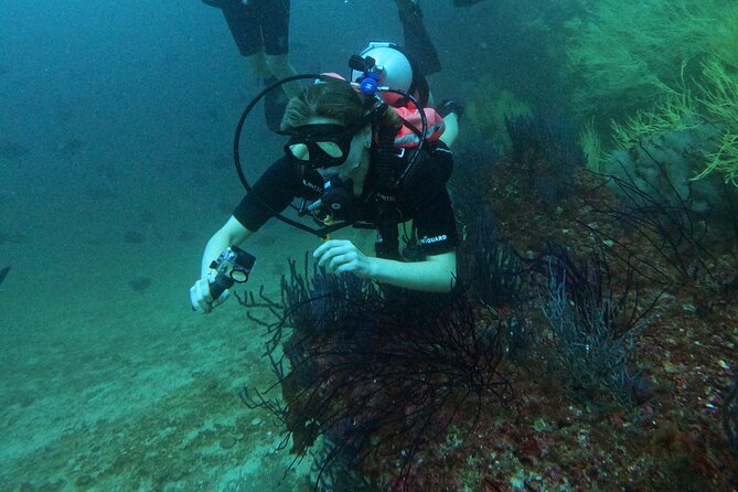 Scuba Diving Adventure in Musandam, Oman - The first underwater site and Lima Rock