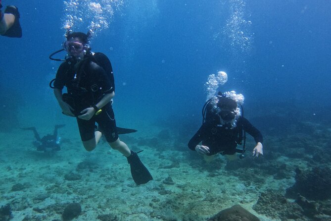 Scuba Diving Adventure in Musandam, Oman - The surface interval and second site