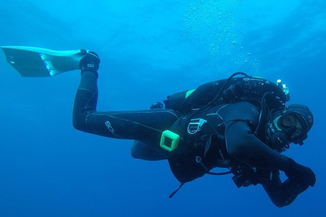 Scuba Diving Albufeira-Double Dive Trip - Key points to know before booking