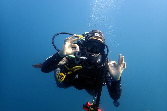 Scuba Diving Albufeira-Double Dive Trip - Surface interval and the second site