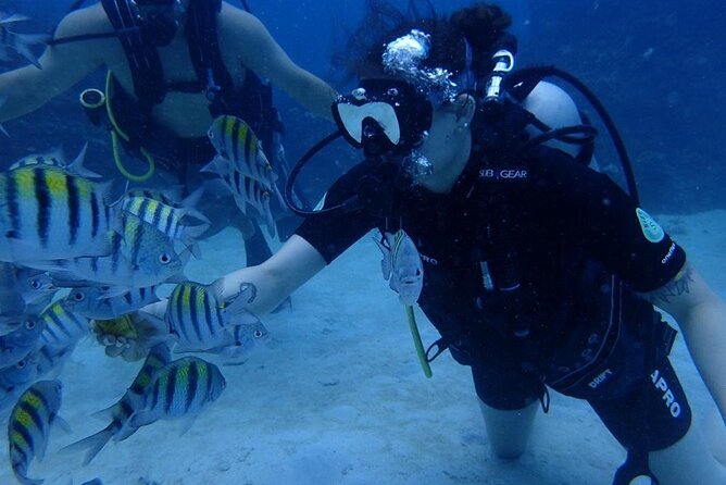 Scuba Diving and shopping on the Hipstrip. - The Hipstrip shopping stop on Jimmy Cliff Boulevard