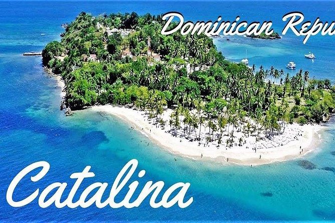 Scuba Diving at Catalina Island - 2 tank | 2 spots - Why Catalina Island makes a worthwhile underwater day