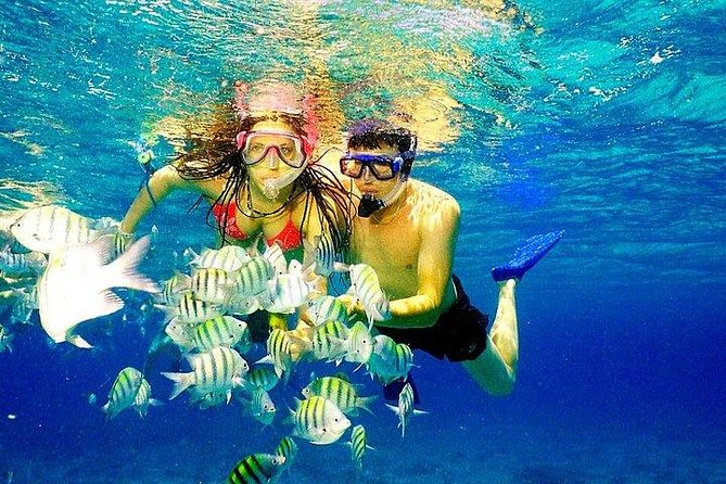 Scuba Diving at Catalina Island - 2 tank | 2 spots - A catamaran ride before the reefs