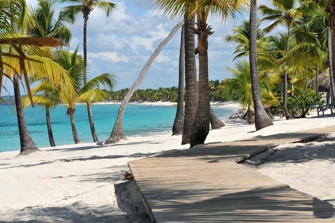 Scuba Diving at Catalina Island - 2 tank | 2 spots - Dominican lunch on Catalina Island beach