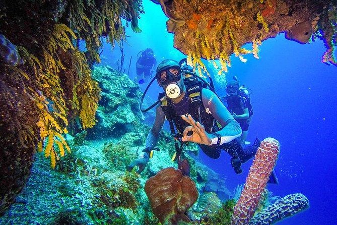 Scuba Diving at Catalina Island - 2 tank | 2 spots - The 7:30 a.m. start and the road to the boat