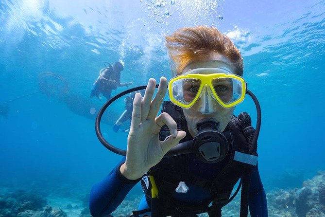 Scuba Diving at Catalina Island - 2 tank - for Certified Divers - Key points to know before booking