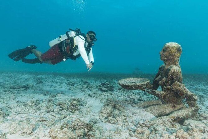 Scuba Diving at Catalina Island - 2 tank - for Certified Divers - Aquarium Reef, a gentler second session