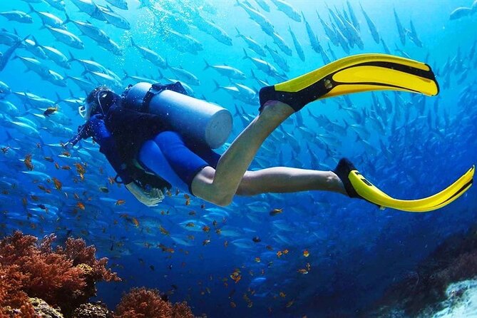 Scuba Diving at Jumeirah Dubai with Private Transfers - Entering the water and seeing Jumeirah below