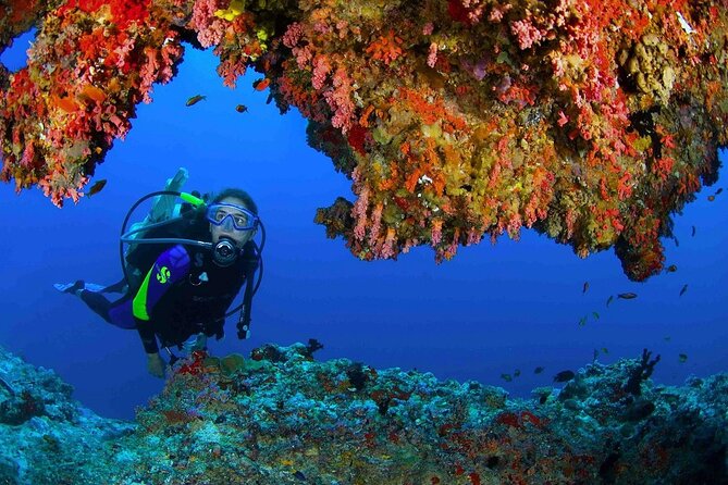 Scuba Diving at Jumeirah Dubai with Private Transfers - Who will enjoy this most?
