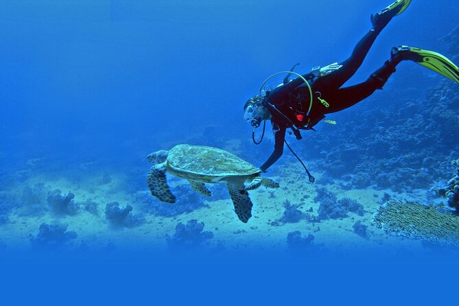 Scuba Diving at Jumeirah Dubai with Private Transfers - The briefing: learning to breathe underwater