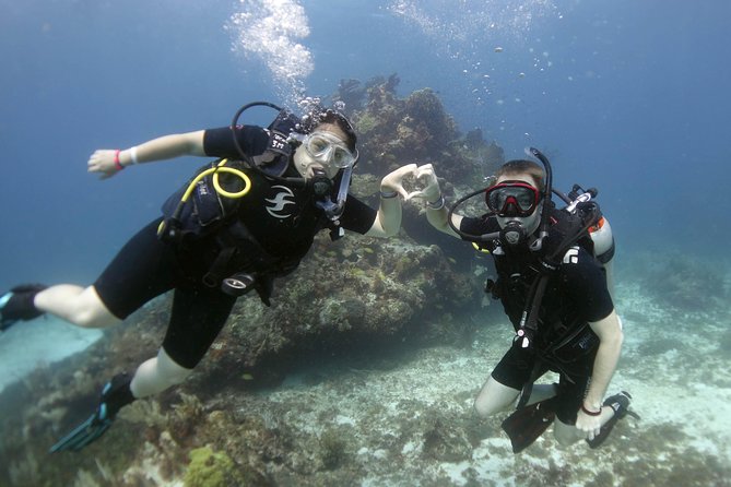 Scuba diving at MUSA the underwater museum for certified divers - Who Will Enjoy This Most?