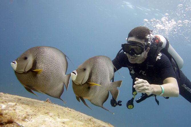 Scuba diving at MUSA the underwater museum for certified divers - Should You Book This MUSA Experience?