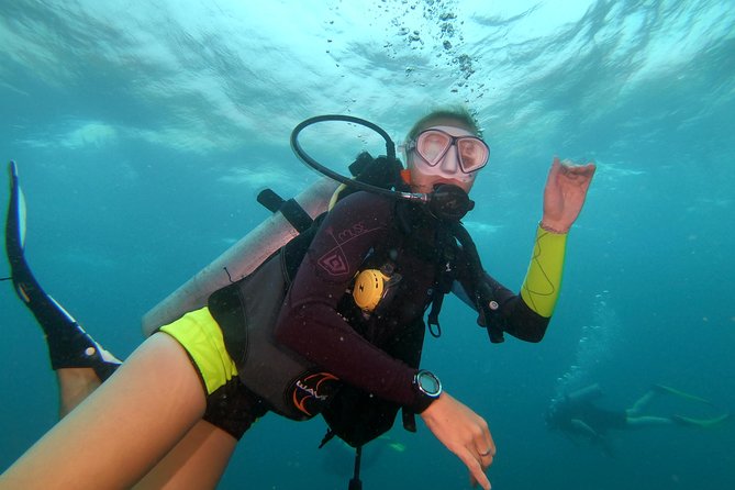 Scuba Diving at Sail Rock From Koh Phangan Certified Divers Only - A 7:00 a.m. start from Koh Phangan