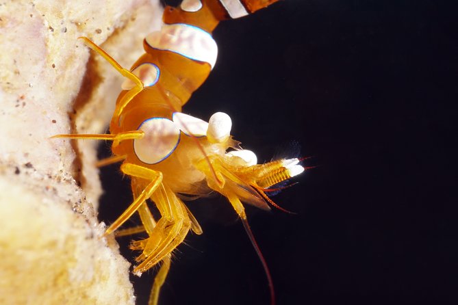 Scuba Diving at Tulamben macro dive sites - Lunch, Showers, Towels, and the Useful Extras
