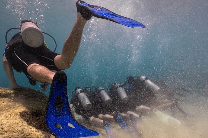 Scuba Diving at Turtle Bay with Underwater Pictures Included - What Makes This Protaras Scuba Experience Worth Considering