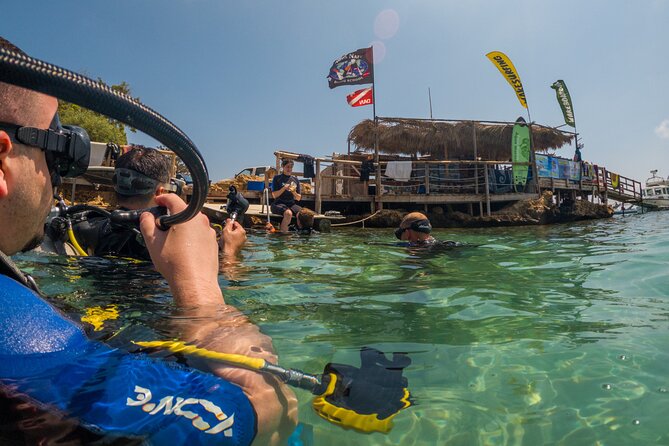 Scuba Diving at Turtle Bay with Underwater Pictures Included - Thirty to Forty-Five Minutes Beneath the Surface