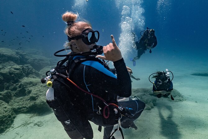 Scuba Diving at Turtle Bay with Underwater Pictures Included - Is $87.27 a Fair Price?
