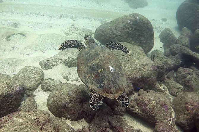 Scuba Diving at Unawatuna - Shallow-water practice before the main outing