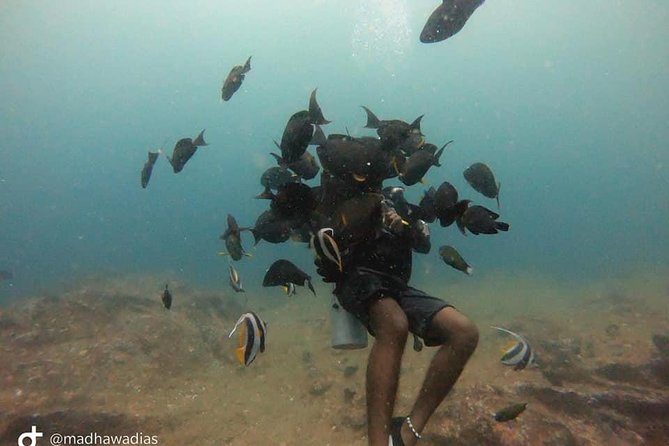 Scuba Diving at Unawatuna - The equipment and GoPro photos add practical value