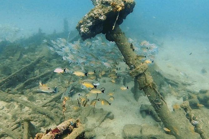 Scuba Diving at Unawatuna - Who will enjoy this experience most