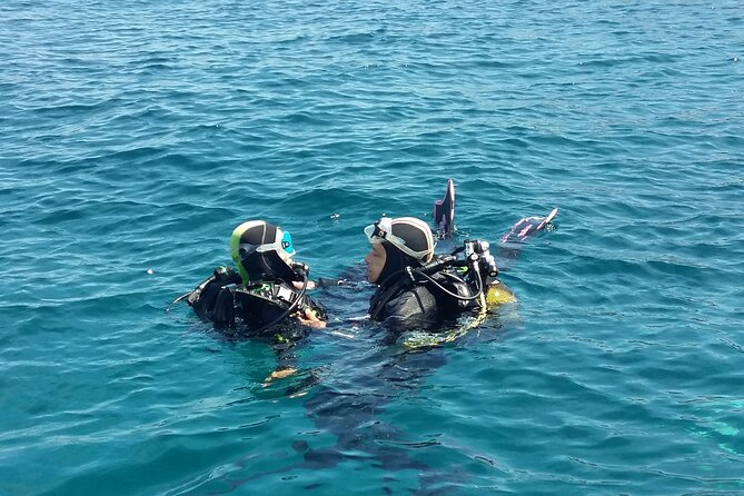 Scuba diving baptism - From Port Fréjus to Lion de Mer