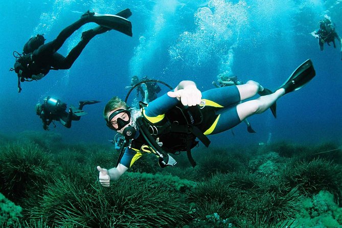 Scuba Diving Baptism and Snorkeling in Ibiza - Key points to know before booking