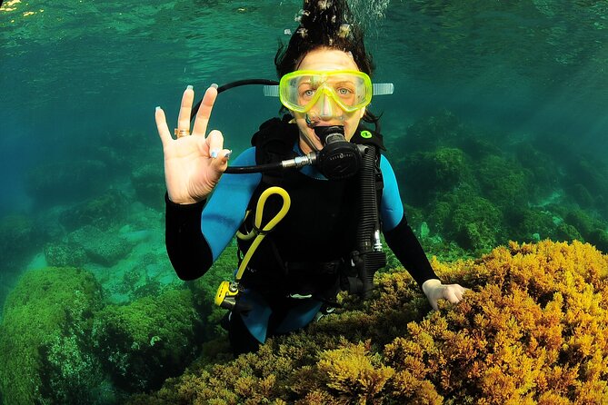 Scuba Diving Baptism and Snorkeling in Ibiza - How much value do you get for $181.02?