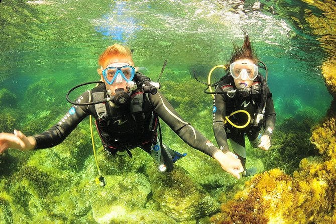 Scuba Diving Baptism and Snorkeling in Ibiza - The first lesson: safety before scenery