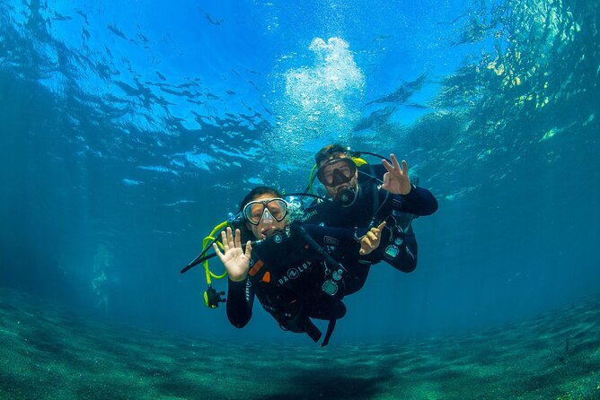 Scuba Diving Baptism Experience in Santa Cruz Tenerife - Why this Tenerife experience works for beginners